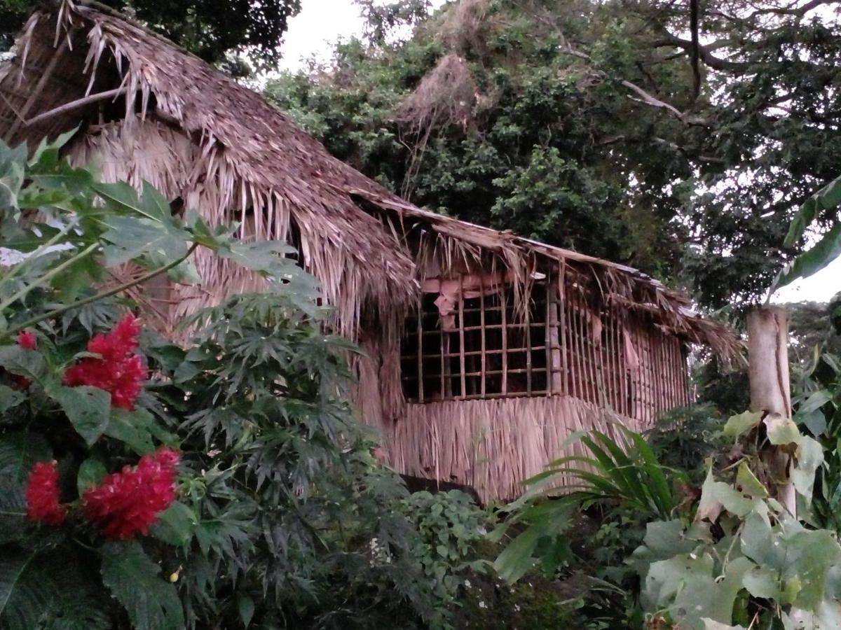 El Bamboo Cabins Balgue Екстериор снимка