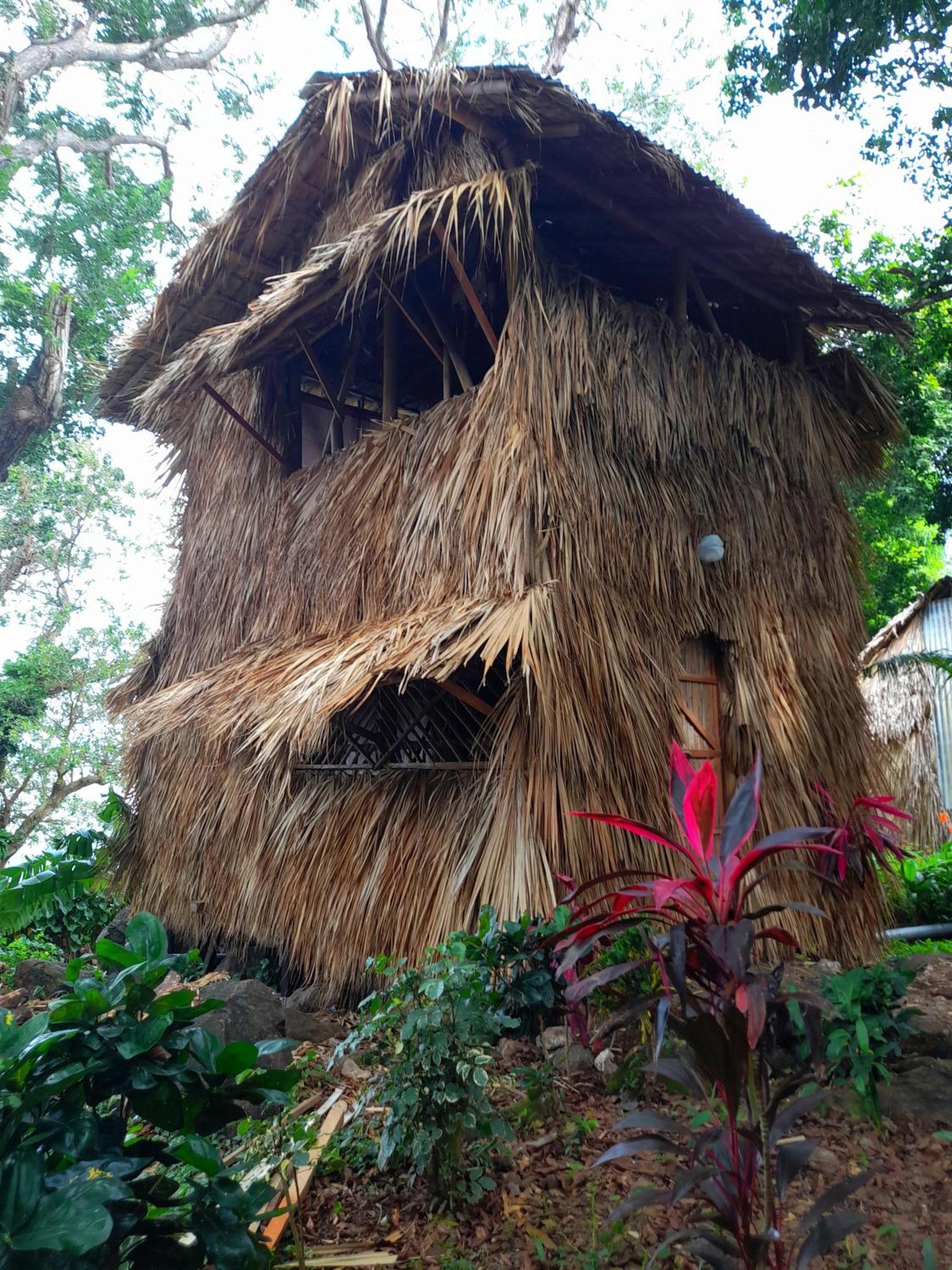 El Bamboo Cabins Balgue Екстериор снимка