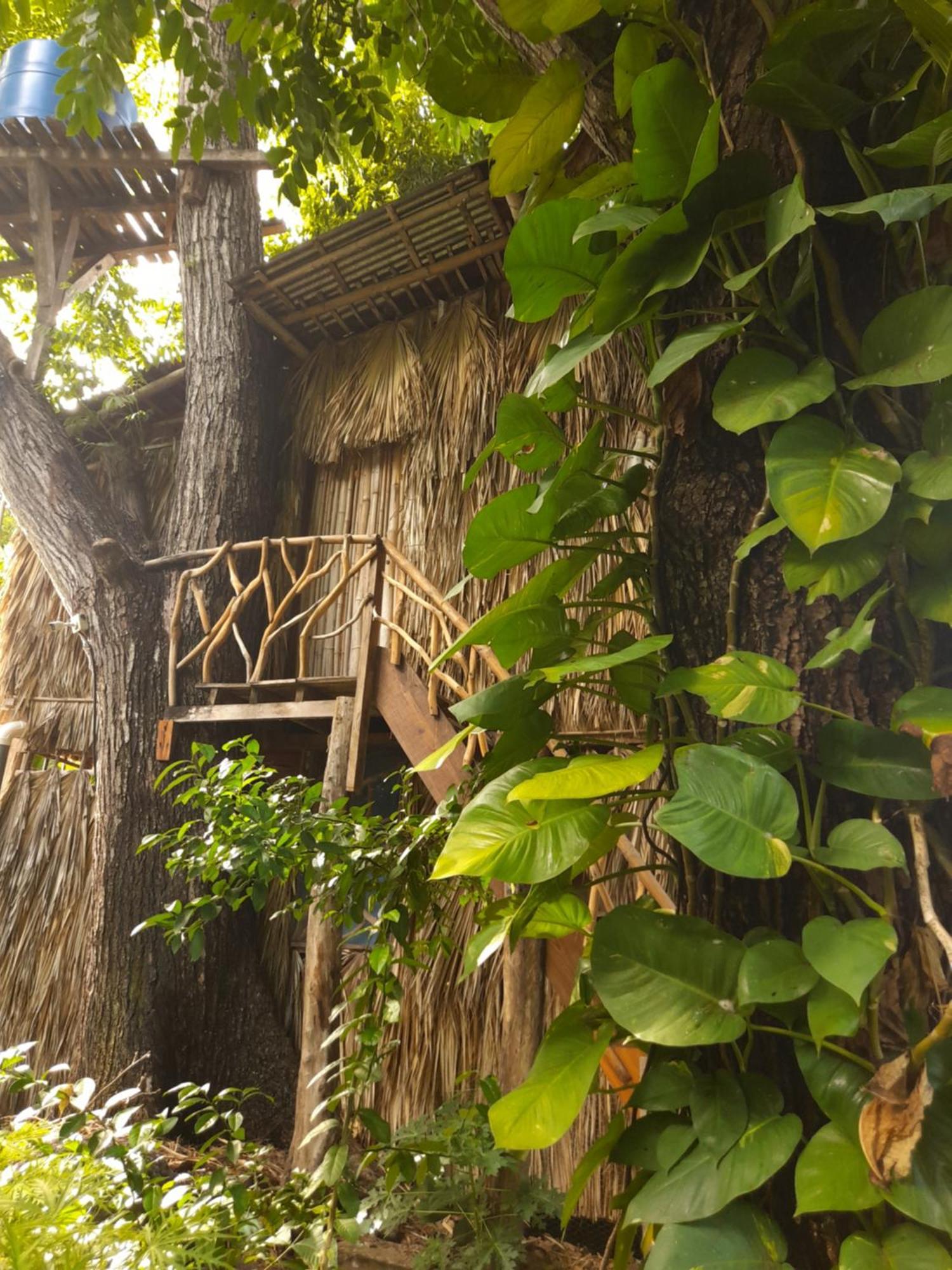 El Bamboo Cabins Balgue Екстериор снимка
