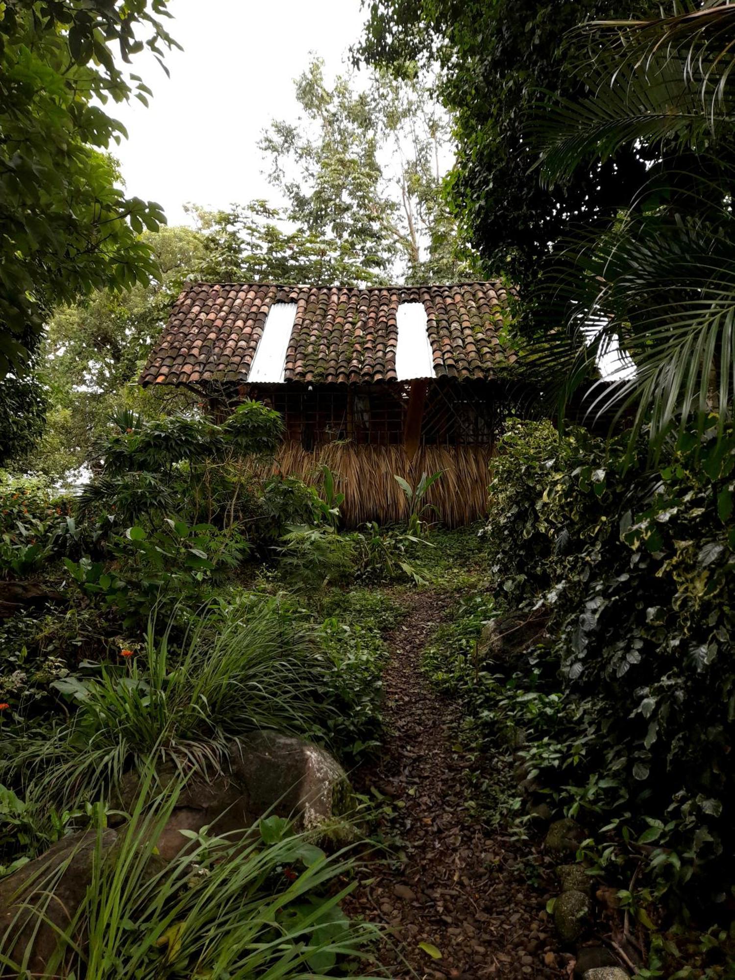 El Bamboo Cabins Balgue Екстериор снимка