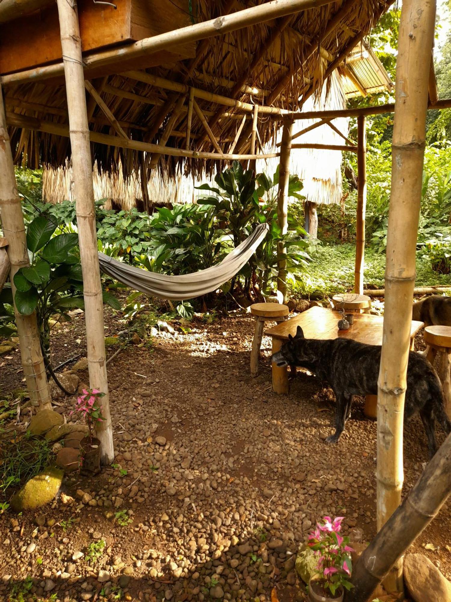El Bamboo Cabins Balgue Екстериор снимка